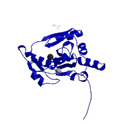 Image of CATH 5ls4
