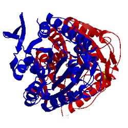 Image of CATH 5lt1