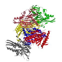 Image of CATH 5lt2