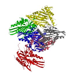 Image of CATH 5lt3