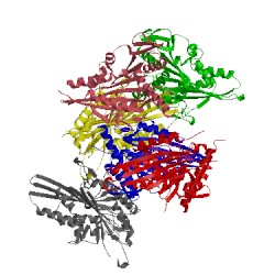 Image of CATH 5lt4