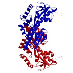 Image of CATH 5ltc