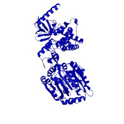 Image of CATH 5ltk