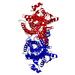 Image of CATH 5ltm