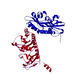 Image of CATH 5lto