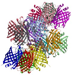 Image of CATH 5ltq