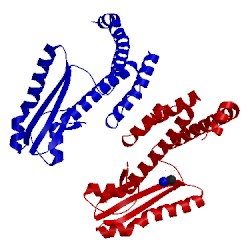 Image of CATH 5lts