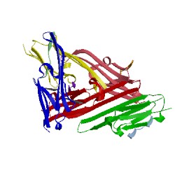 Image of CATH 5lum