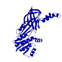 Image of CATH 5lv5
