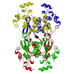 Image of CATH 5lvp