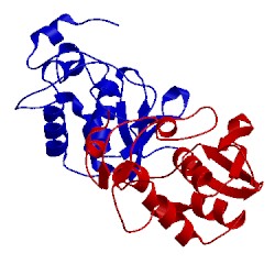 Image of CATH 5lwa