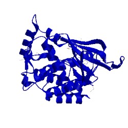 Image of CATH 5lwn