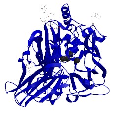 Image of CATH 5lwx