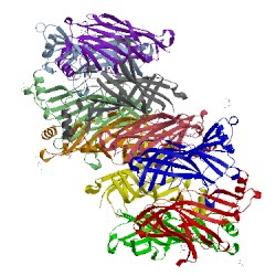 Image of CATH 5lxb