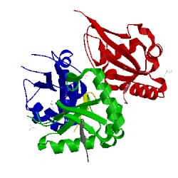 Image of CATH 5lxh