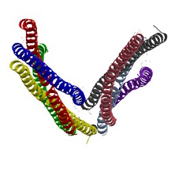 Image of CATH 5lxo