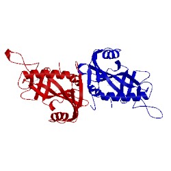 Image of CATH 5lxp