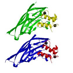 Image of CATH 5lxv