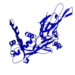 Image of CATH 5ly6