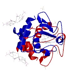 Image of CATH 5lyc