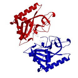 Image of CATH 5lyh