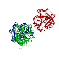 Image of CATH 5lyo