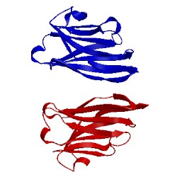 Image of CATH 5lz0