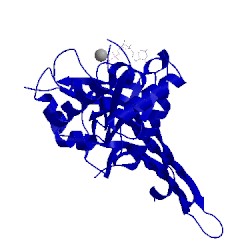 Image of CATH 5m04