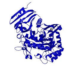 Image of CATH 5m12
