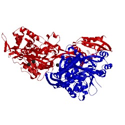 Image of CATH 5m1a