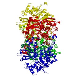 Image of CATH 5m67