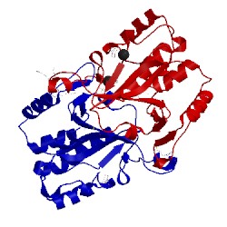 Image of CATH 5m6q