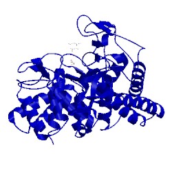 Image of CATH 5m7i