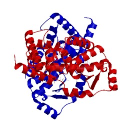 Image of CATH 5m96