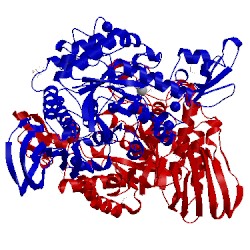 Image of CATH 5m99