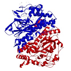 Image of CATH 5ma0