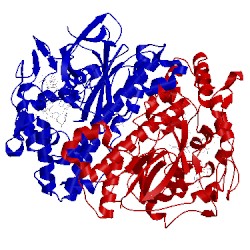 Image of CATH 5ma1