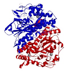 Image of CATH 5ma2