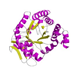 Image of CATH 5macE02