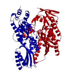 Image of CATH 5mbb