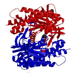 Image of CATH 5mbd