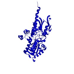 Image of CATH 5mbx