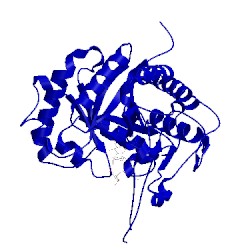 Image of CATH 5mc8