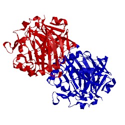 Image of CATH 5mcj