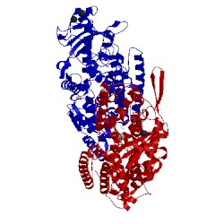 Image of CATH 5mef