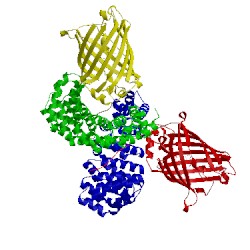 Image of CATH 5mfc