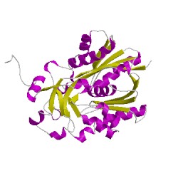 Image of CATH 5mg5G