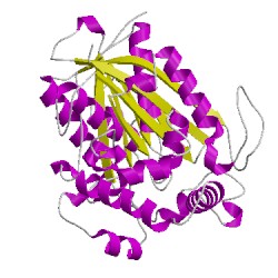 Image of CATH 5mg5X