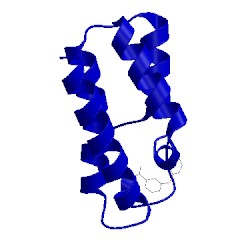 Image of CATH 5mgm