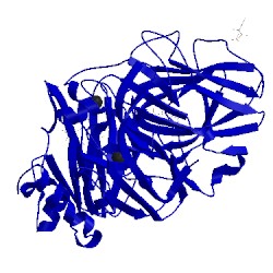 Image of CATH 5mi2